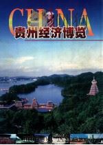 贵州经济博览 PDF电子版封面