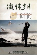 激情岁月  王振平新闻作品选   1999  PDF电子版封面  754020690X  王振平著 