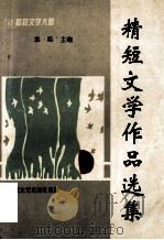 精短文学作品选集 1996 PDF电子版封面 7530609076 袁炬主编