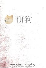 实用东语完璧 全 PDF电子版封面 新智社编辑局编纂;宫崎德太郎著