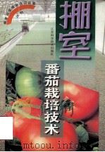 棚室番茄栽培技术 1999 PDF电子版封面 7534526280 余文贵,赵统敏编著