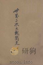 世界二次大战简史 天津大公报社特辑 1928 PDF电子版封面 天津大公报社编