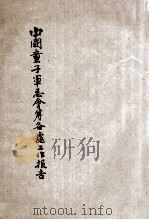 中国童子军总会筹备处工作报告   1934  PDF电子版封面    中国童子军总会筹备处编 