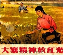 大寨精神放红光   1973  PDF电子版封面  8118·47  绵阳地区《大寨精神放红光》连环画创作组编绘 