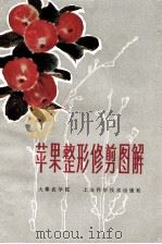 苹果整形修剪图解 1979 PDF电子版封面 16119·646 大寨农学院编