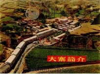 农业学大寨（ PDF版）