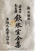 饮冰室全集  新式标点  9  卷17-18（1925 PDF版）