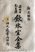 饮冰室全集  新式标点  10  卷19-20（1925 PDF版）