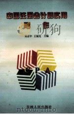 中国注册会计师实用写作   1996  PDF电子版封面  720602632x  矫正中，王福义主编 