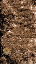 殷商贞卜文字考 1910 PDF电子版封面 罗振玉
