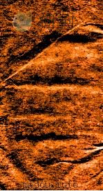 续宋中兴编年资治通鉴  卷1-5   1912  PDF电子版封面    （宋）劉時举撰 