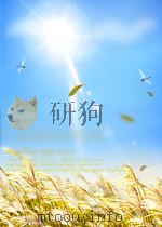 鲜于璜碑技法精讲（ PDF版）