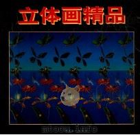 立体画精品 1995 PDF电子版封面 7500817592 本社编