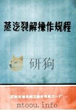 蒸汽裂解操作规程（ PDF版）