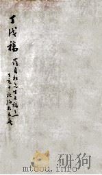 丁戊稿 1929 PDF电子版封面 (民国)罗振玉撰