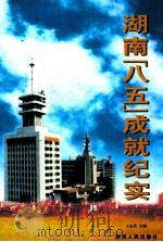 湖南“八五”成就纪实   1999  PDF电子版封面  7543819562  王克英主编 