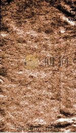 证治准绳 第5册 上 1793 PDF电子版封面 (明)王肯堂著