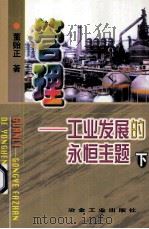 管理-工业发展的永恒主题 下 1999 PDF电子版封面 7502423087 董贻正著