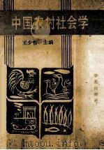 中国农村社会学   1990  PDF电子版封面  7800608336  王少哲主编 
