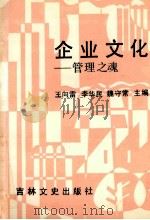 企业文化  管理之魂   1990  PDF电子版封面  7805283435  王向雷主编 