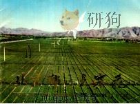 北京郊区大寨花（ PDF版）