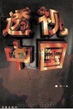 透视中国  第1卷   1998  PDF电子版封面  7801410742  王丽红等主编 