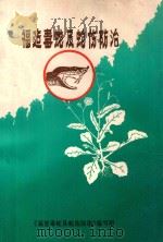 福建毒蛇及蛇伤防治 1978 PDF电子版封面 《福建毒蛇及蛇伤防治》编写组编辑
