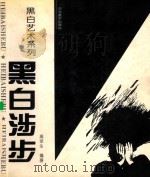 黑白艺术系列 黑白涉步 图集 1996 PDF电子版封面 7531007169 高荣生编著