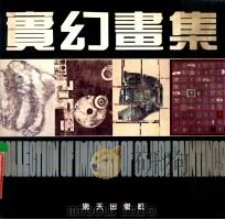 实幻画集 1990 PDF电子版封面 7805422877 乙朔编