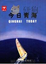 今日青海 1999 PDF电子版封面 780114161x 薛文石主编;曹文虎,李冬民,苗晓雷副主编