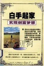 白手起家 实现创富梦想 1998 PDF电子版封面 7204038355 霍肯著