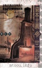 资本主义与二十一世纪   1991  PDF电子版封面  9570807148  黄仁宇著 