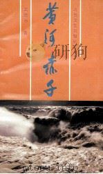 黄河赤子 1992 PDF电子版封面 7537807183 武建中著