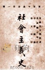 社会主义史 上 1920 PDF电子版封面 英国克卡樸原著;李季翻译