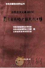 新民主主义革命时期党在云南的少数民族工作 1994 PDF电子版封面 753670979X 中共云南省委党史研究室等编