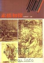 素描初探 1993 PDF电子版封面 9575304357 黄良臣主编