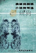 俄国民粹派小说特写选  下   1987  PDF电子版封面  10208·275  外国文学出版社编辑 