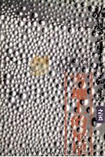 雪地上的星星 1980 PDF电子版封面 于梨华著