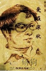 爱在深秋 1996 PDF电子版封面 7805754411 毕坚著