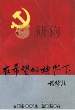 在希望的旗帜下（1997.02 PDF版）