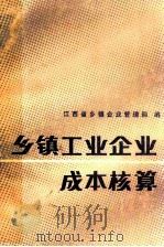 乡镇工业企业成本核算   1985  PDF电子版封面    江西省乡镇企业管理局编 