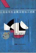 云南省有色金属深度加工进展   1990  PDF电子版封面  7541603171  解德汝等编著 