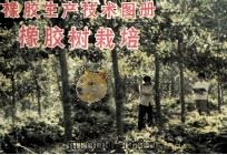 橡胶生产技术图册 橡胶树栽培 1981 PDF电子版封面 广东省农垦总局编