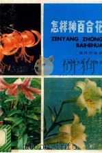 怎样种百合花 1985 PDF电子版封面 16119·828 黄济明编著
