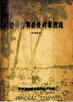 热带作物检疫对象图说   1984  PDF电子版封面    农牧渔业部农垦局生产处编 