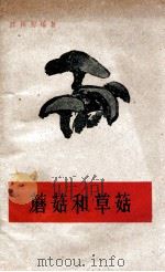 蘑菇和草菇 1960 PDF电子版封面 16119·80 陈梅朋编著