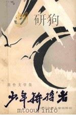 少年拼搏者   1985  PDF电子版封面  R10247·309  李楚成等著 