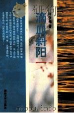 滴血斜阳 1995 PDF电子版封面 7805348049 许守尧著