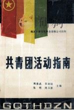 共青团活动指南     PDF电子版封面    周俊武，宋淑培，张明等主编 