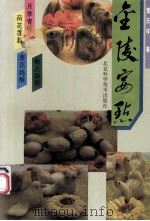 金陵宴点 1994 PDF电子版封面 7530415697 董玉祥著